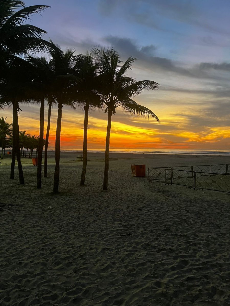 eosick_'s tweet photo. 🌊🏄🏽‍♂️ https://t.co/1yblt1SbkH