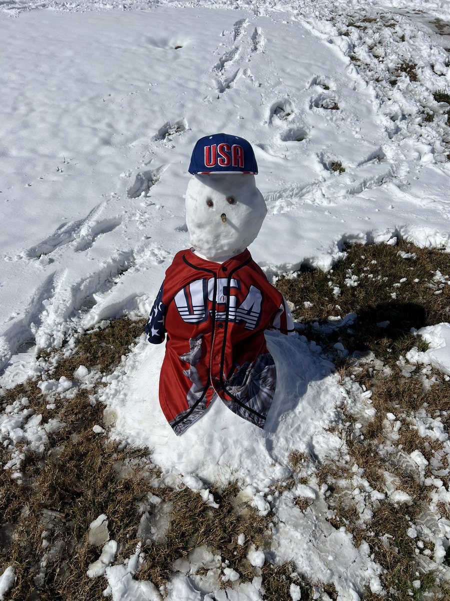 j_fairchild3's tweet image. I think @realDonaldTrump @POTUS and @elonmusk would be proud of this snowman!
#MAGA2024
