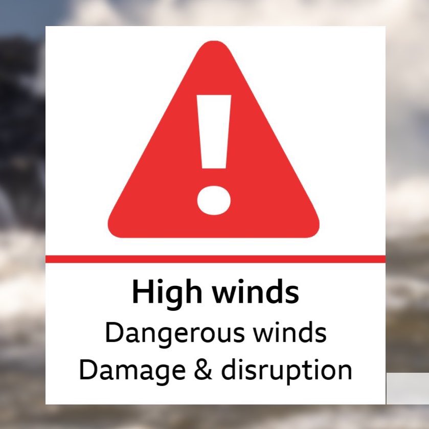 Barra Best tweet media