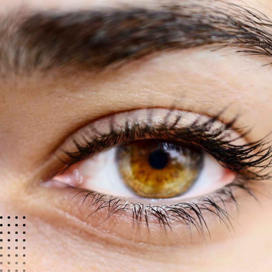 Your eyes are your windows to the world—make sure they're well taken care of! 🥰✨ Don’t wait any longer, book your appointment today and give your vision the care it deserves! 

🌐 gcoeyes.com  
.
.
.
#EyeHealth #OptometryCare #VisionMatters