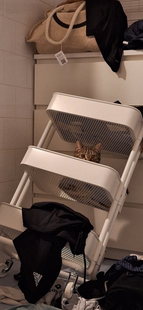 BE_Dedicated2succes 🇧🇪 tweet media