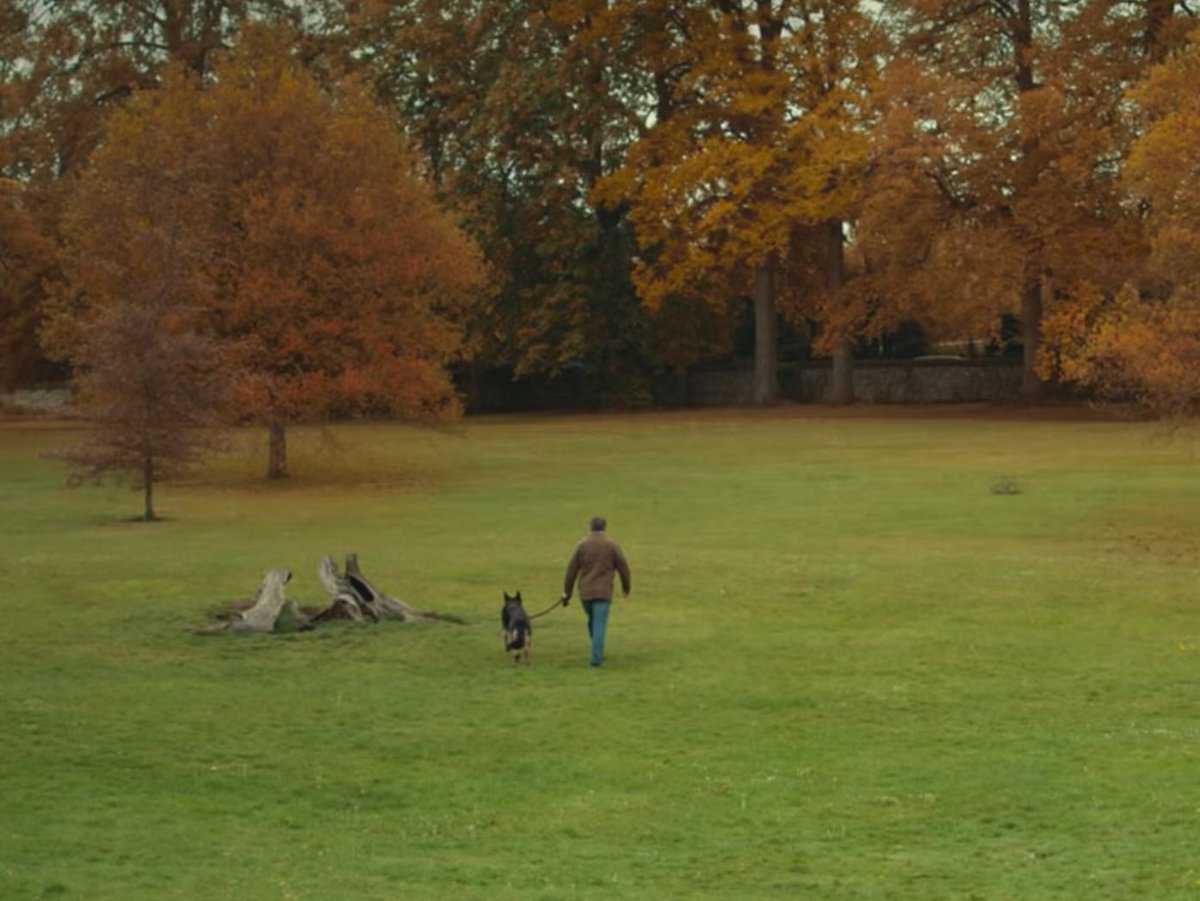 Just thought of the ending of ‘AfterLife’ &amp; burst into tears…

Remembering Anti. 💔💔