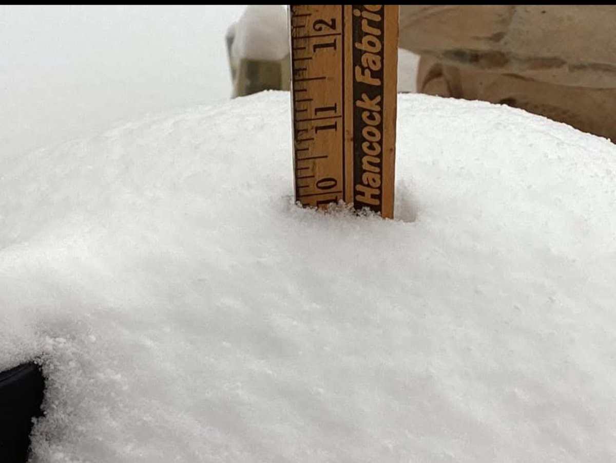 MuketyMuk's tweet photo. Photos taken Tuesday Jan 22 in #Lafayette, #Louisiana. #LAWX 10 Inches (25 cm) of storm total #snow on ground. #SOG WOW. Well go big or go home! If you're going to smash a record, do it in style!! By Sunday the snow melts to a warm memory. #NAEFS suggests winter's not over yet https://t.co/5RqTCwFdfG