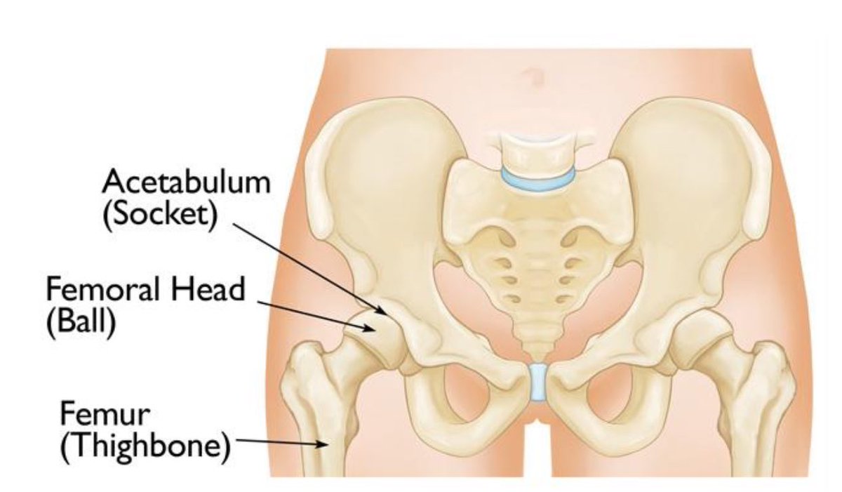 21 hours and counting. That’s how long my Dad has been in Highland’s ER hallway waiting for a room.  It’s confirmed. He has a broken hip, specifically a fracture of his acetabulum, the socket part of your ball and socket hip joint. The pain is excruciating.  Please pray for him.