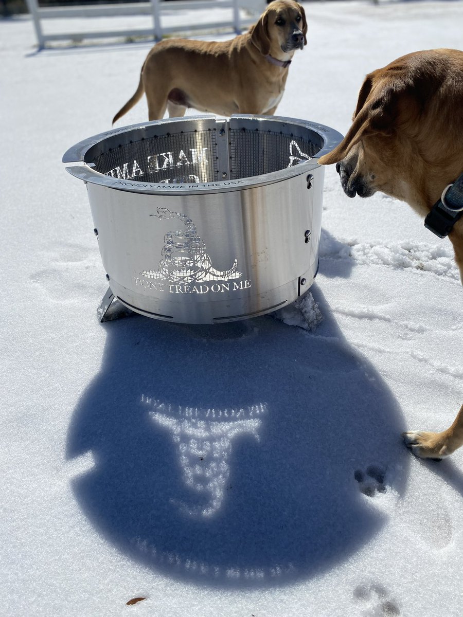 Meanwhile at the Catturd ranch.