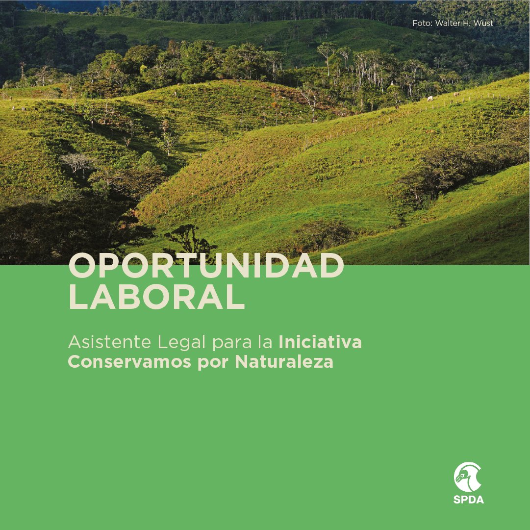 👩🏽‍💻👨🏽‍💻 #OportunidadLaboral | Buscamos asistente legal especializado en derecho ambiental para la iniciativa Conservamos por Naturaleza.
➡ Postulaciones hasta el 07/02/2025
➡ TDR: bit.ly/42qd0pE
