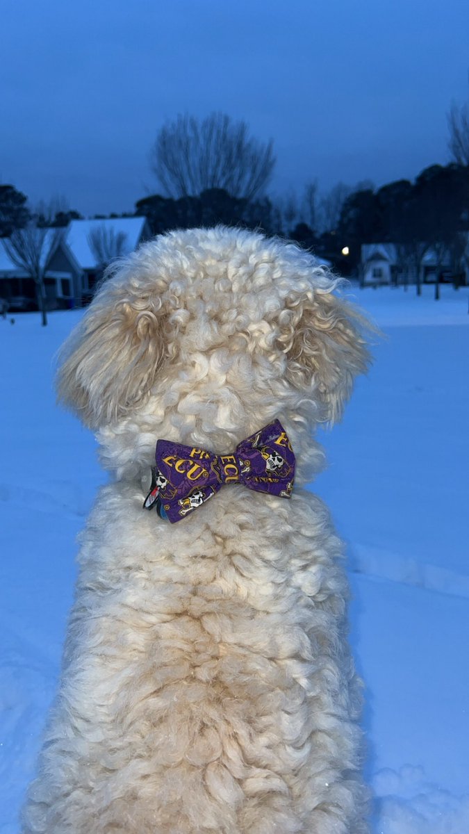 Go Pirates 🏴‍☠️