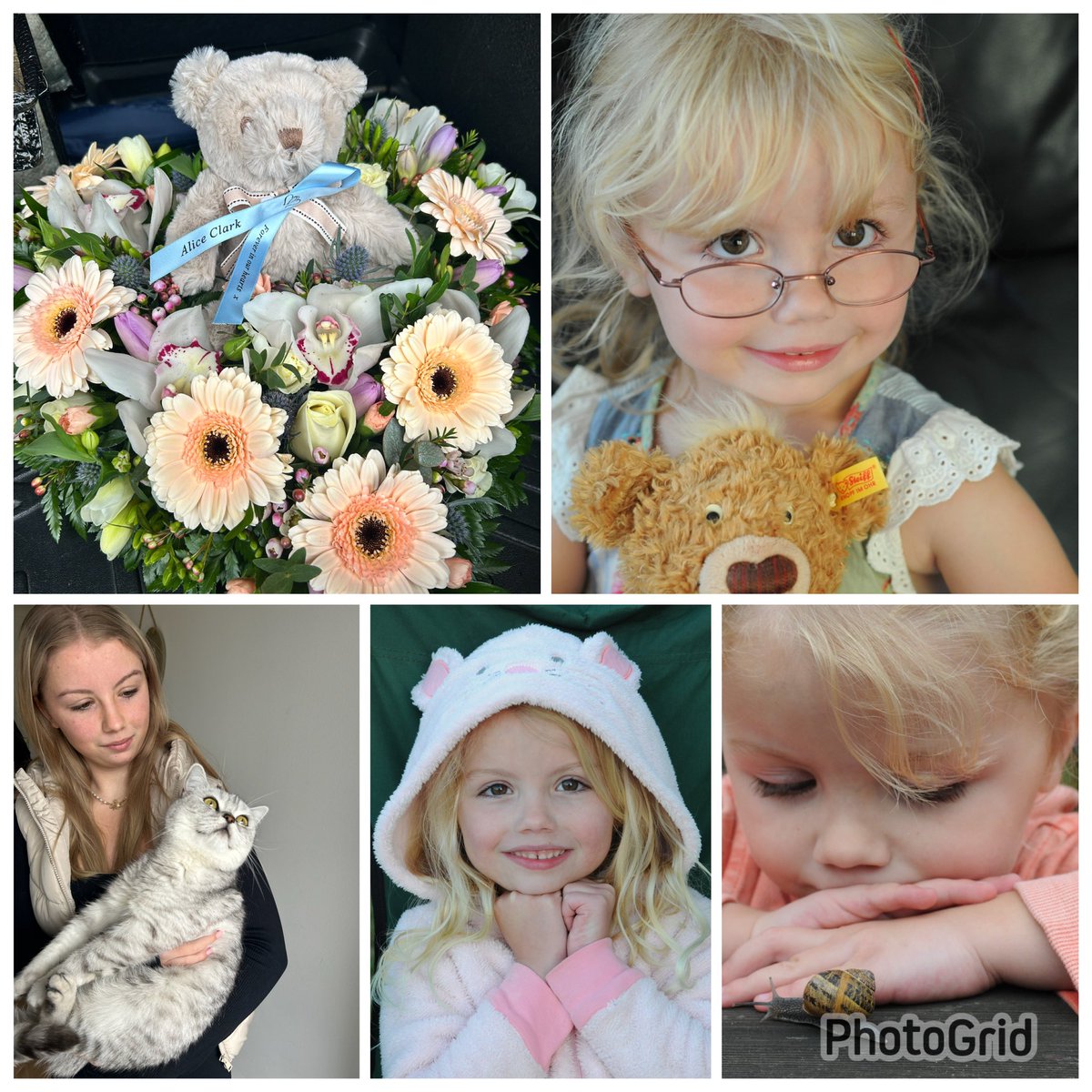 🌱💙Vanessa Clark tweet media