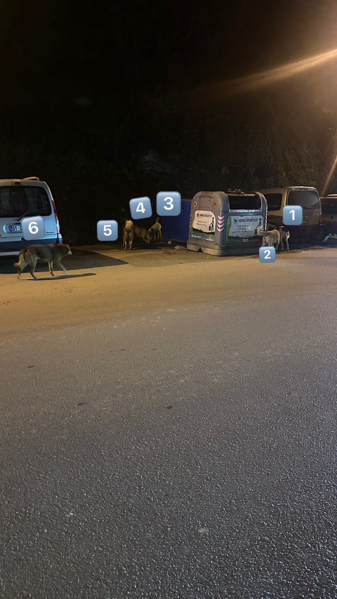 Sabah işe giderken akşam işten gelirken Yomra kaşüstü mahallesi Şana mevkii … daha iki gün önce köpekler kız çocuğunu parçalamışken bu nasıl bir rezalet .
<a href="/TrabzonBelTr/">Trabzon Büyükşehir Belediyesi</a> <a href="/TrabzonValilik/">T.C. Trabzon Valiliği 🇹🇷</a> <a href="/mustafabiyik61/">Mustafa Bıyık</a> <a href="/Yomrabelediye/">Yomra Belediyesi</a>