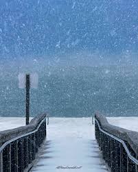 Stuart MC Chamber tweet media