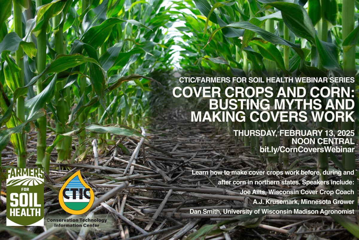 👨‍🌾💡 Curious about corn following #covercrops? Join consultant <a href="/JoeAilts/">Ailts Agronomy</a>, <a href="/agronomybadger/">Daniel H Smith</a> Dan Smith, and others for practical insights during our free webinar. Thursday, Feb. 13, 12 PM CT. Sign up here: bit.ly/CornCoversWebi… @FarmersForSoil