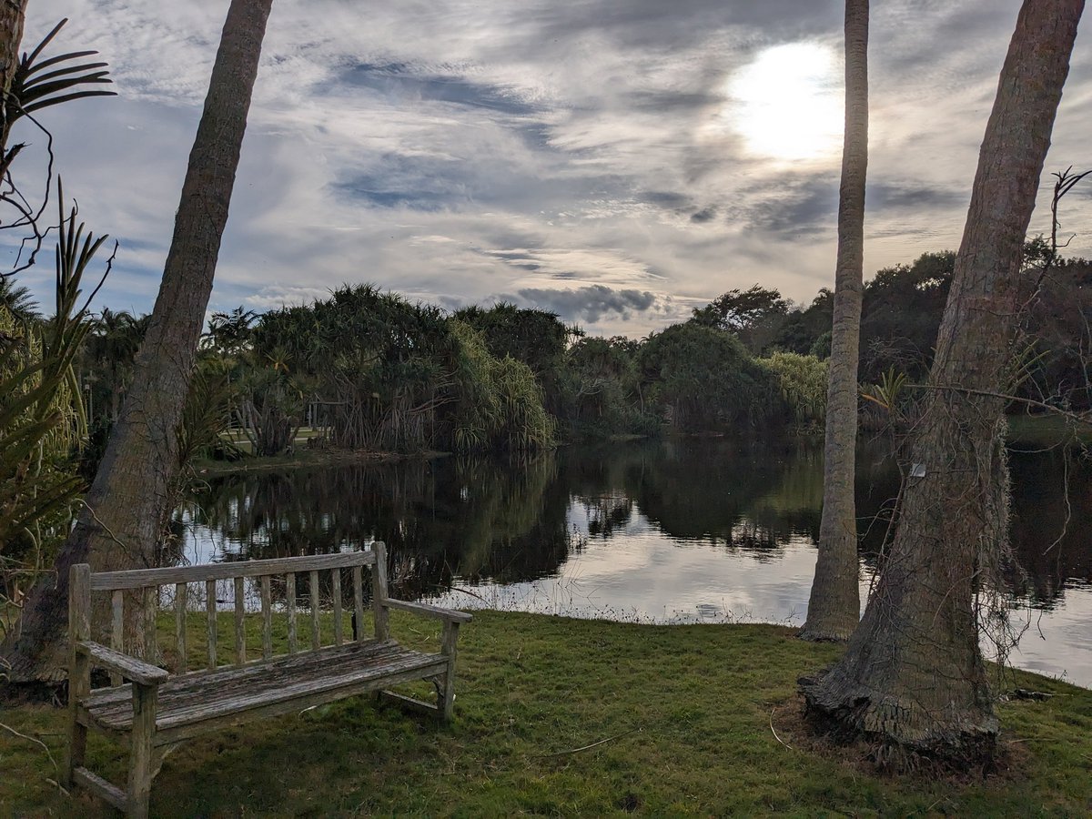 lemincitus reborn AND INSTANTLY KILLED AGAIN tweet media