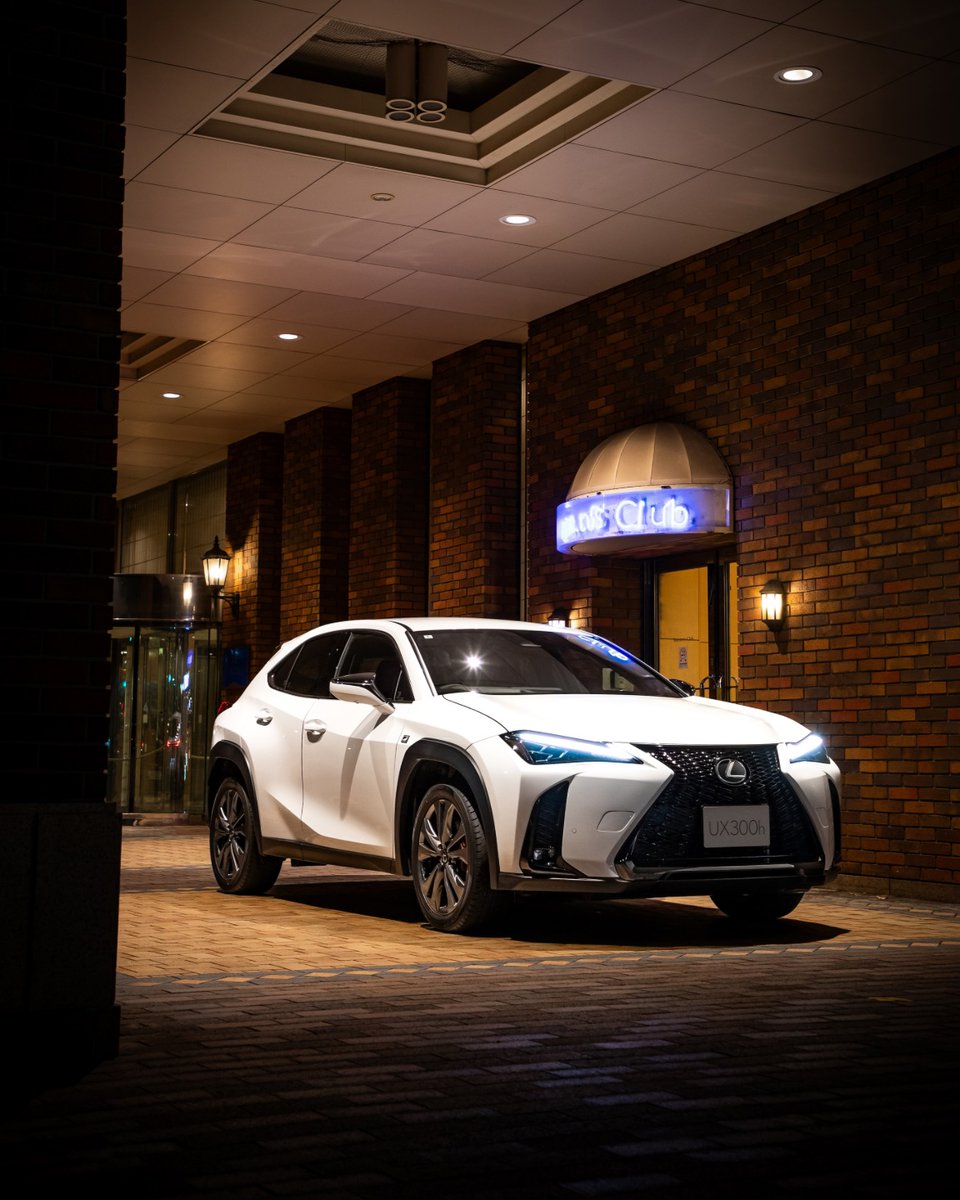 Distinctive, yet elegant. Lexus UX 300h.