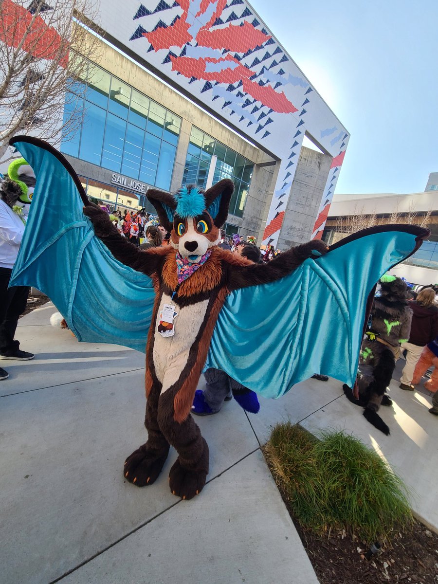 AzulBlackJaguar's tweet image. @FycusBat came to #FC2025 showong that it absolutely IS possible to hugs bats! Those big wings won't stop you! 🦇