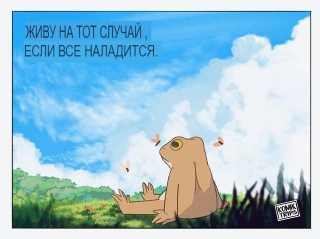MadRabbitXVI's tweet photo. https://t.co/tKfxpVcwpX