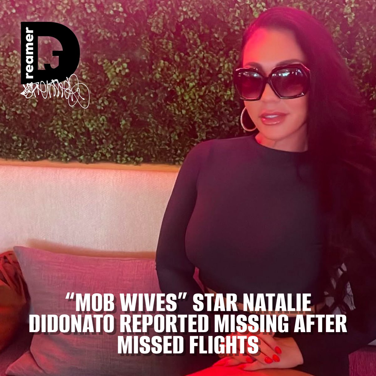 Natalie DiDonato, known for her appearance on Season 5 of VH1’s “Mob Wives,” has been reported missing after failing to board two scheduled flights home to Florida. Her family filed a missing persons report with the Las Vegas Metropolitan Police Department on January 21, 2025.