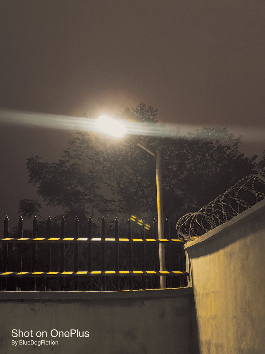 BlueDogFiction's tweet image. Wednesday #oneplus7pro