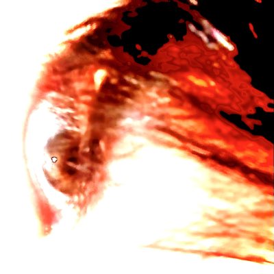 xryvox's tweet photo. #NewProfilePic https://t.co/sRZZqnJNBK