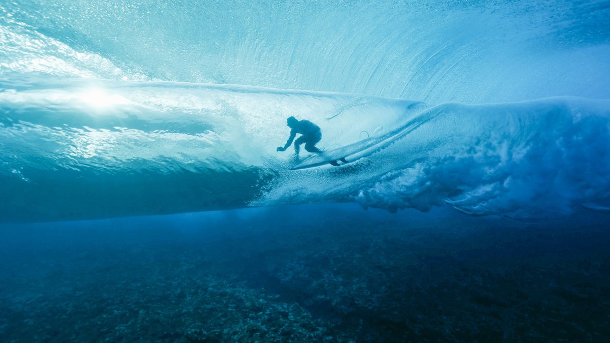 Atlantic Coast Fisheries News for the week of January 20th: Notice to lobster fishers and mariners in MA, funding for clean energy marine projects in CT, and how saving the surf is a climate solution! Read the newsletter here:
conta.cc/4g7O1KY