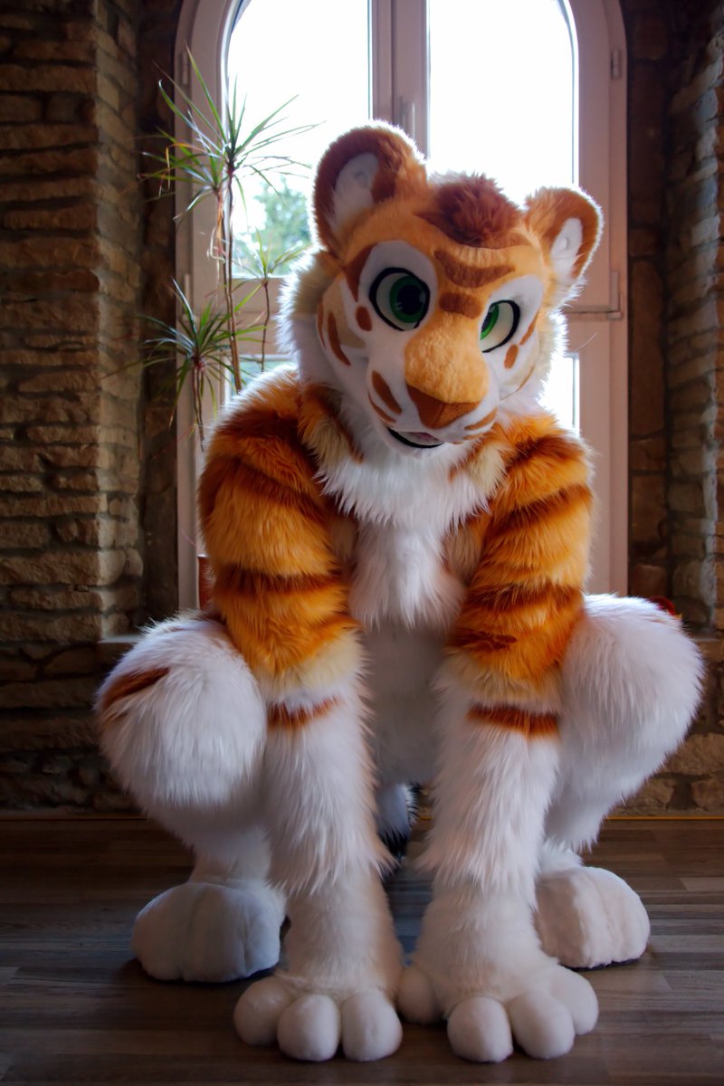 MEOW O.O

📸 <a href="/Arcothewolf/">Arco</a>