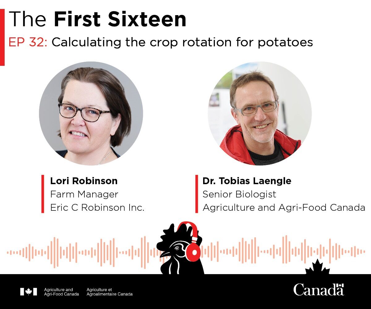 New podcast episode! 🎧🐔

Our scientist, Dr. Tobias Laengle, worked with <a href="/PEIPotatoes/">PEI Potatoes</a> through our #AgLivingLab in #PEI to create a crop rotation calculator. Tune in to learn how farmer Lori Robinson played a crucial role. 

#TheFirstSixteen