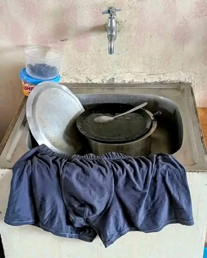 chalise_mohan's tweet image. Madem wanaeza dhani hii ni boxer kumbe ni sponge ya kuosha viombo.... 😎😎😎😁
#rutomustgo #stopabductingus