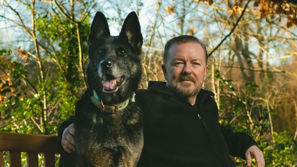 DailyMail's tweet image. Ricky Gervais pays tribute to his 'beautiful' canine co-star Anti as After Life dog dies age 13 trib.al/02q5o0J