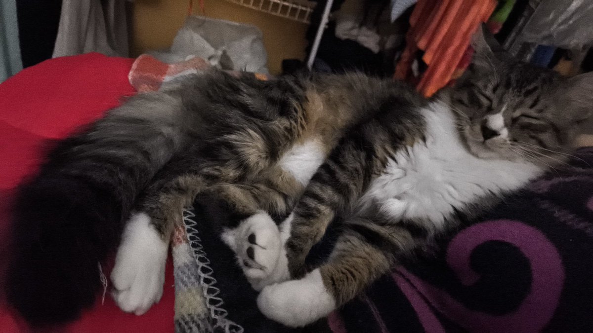 HidalgovMe's tweet photo. @Tiofelino La niña Sissy y el muñeco Milo 💖 https://t.co/lZ6I9eoAtc
