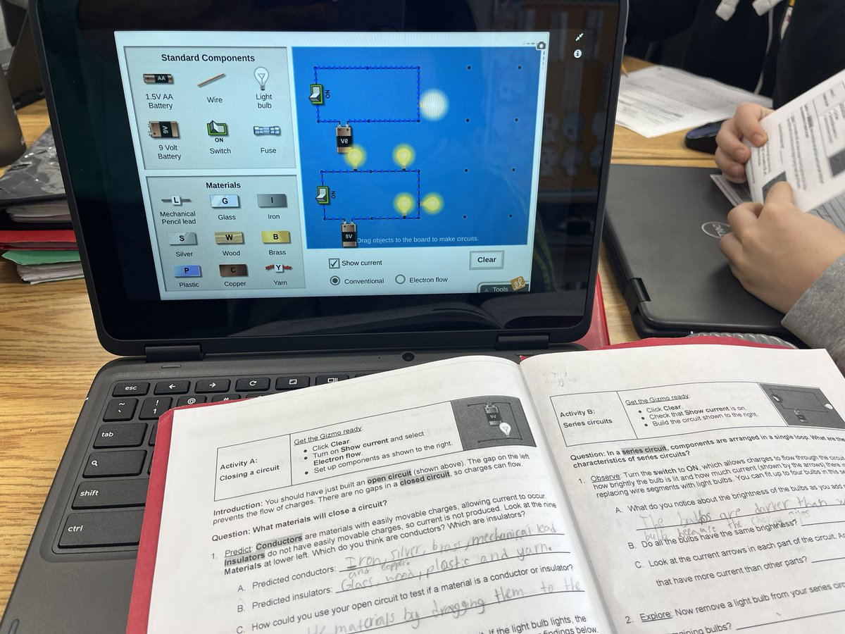 C. Rapa-Perri 🌻 tweet media