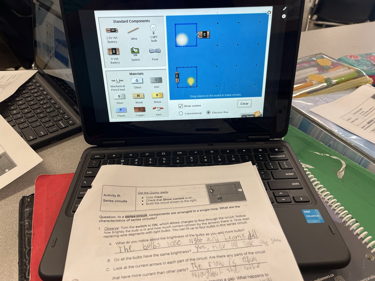 C. Rapa-Perri 🌻 tweet media