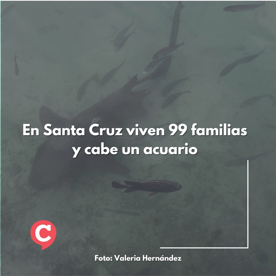 pcontexto's tweet photo. Para el ojo observador🧐 y la nostalgia de las vacaciones🏝️, este #EstrenoEnContexto les invita a que viajemos por la isla artificial más poblada del mundo. https://t.co/pR1gTeeMRX #PeriodismoUniversitario #PeriodismoUPB Léela en el link de nuestra bio. https://t.co/5ImOkMuUaN