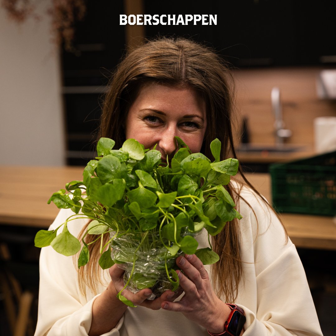 Op de foto zie je Maartje met de winterpostelein. Ze is deze week begonnen bij Boerschappen en wordt een van de eerste aanspreekpunten voor klanten. Welkom Maartje! 👋

Wist je dat winterpostelein juist in de winter groeit omdat het perfect bestand is tegen koude temperaturen?