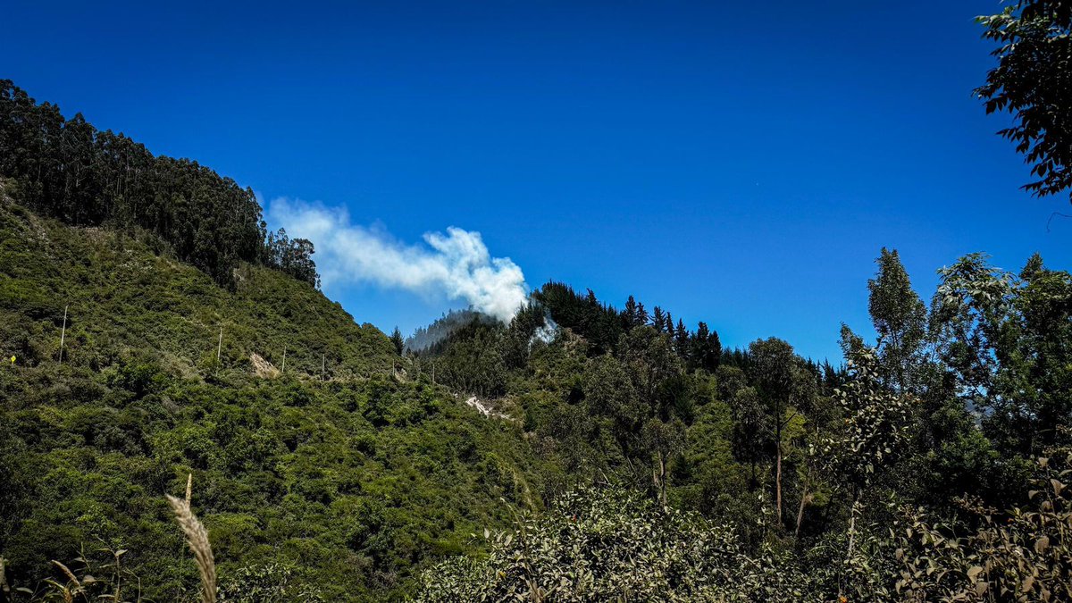 #NoticiaW | A esta hora se reporta un incendio forestal en límites de los municipios de Tenjo y Tabio. En el punto ya se encuentran los bomberos de ambos municipios, con el apoyo de las autoridades de Chía, y Cota.