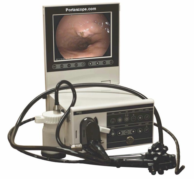 #NAVC #VMX2025 #VetExhibit #Orlando #VetProfessionals Small Animal #Endoscopy Systems 1800endoscope.com