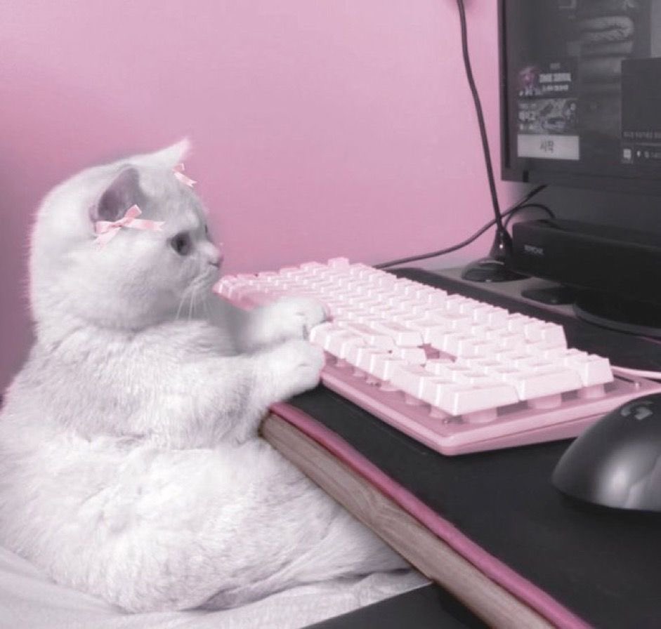 katie ♡.°⑅ tweet media