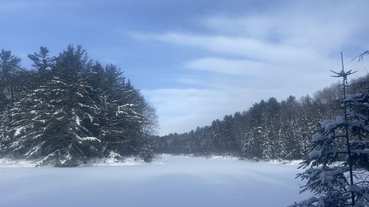 DaniInGeneral's tweet image. More from this winter wonderland.

Have been enjoying less time online more time outside ❄️