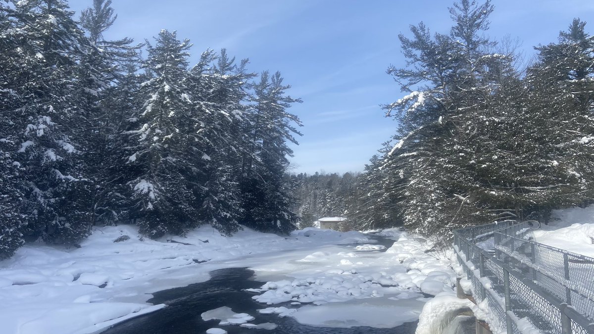 DaniInGeneral's tweet image. More from this winter wonderland.

Have been enjoying less time online more time outside ❄️