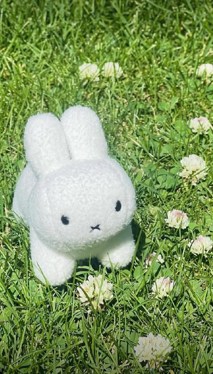 xoxoilysb's tweet photo. — @ Butterfly3ff3c1 ( TB )

Meow Guide and Rabbit Tourist 🍀 https://t.co/saSpS7Wa6Z