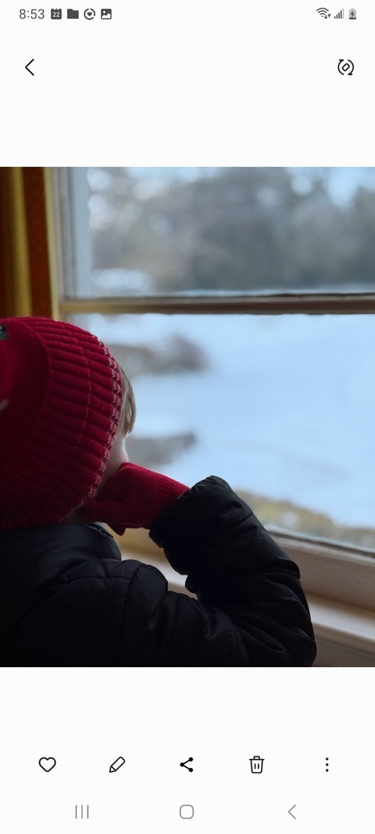 rdavidlasseter's tweet photo. No one told me that snow is wet and cold. https://t.co/kvdwXltiAF