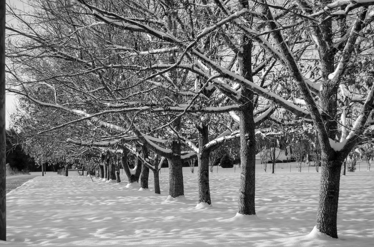 dustincastells's tweet photo. ❄️ Beautiful morning in Chipley, FL! A few of my favorite pics! https://t.co/LhqtsXXykx