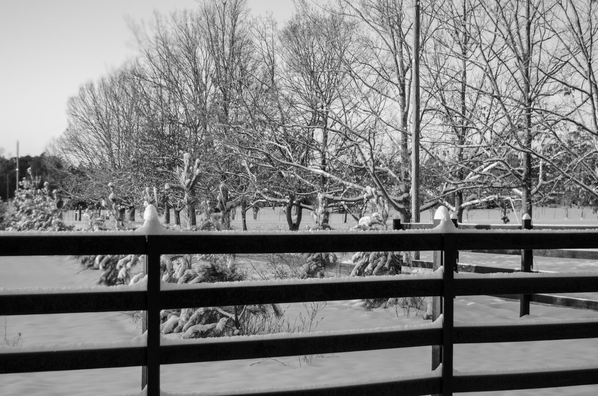dustincastells's tweet photo. ❄️ Beautiful morning in Chipley, FL! A few of my favorite pics! https://t.co/LhqtsXXykx