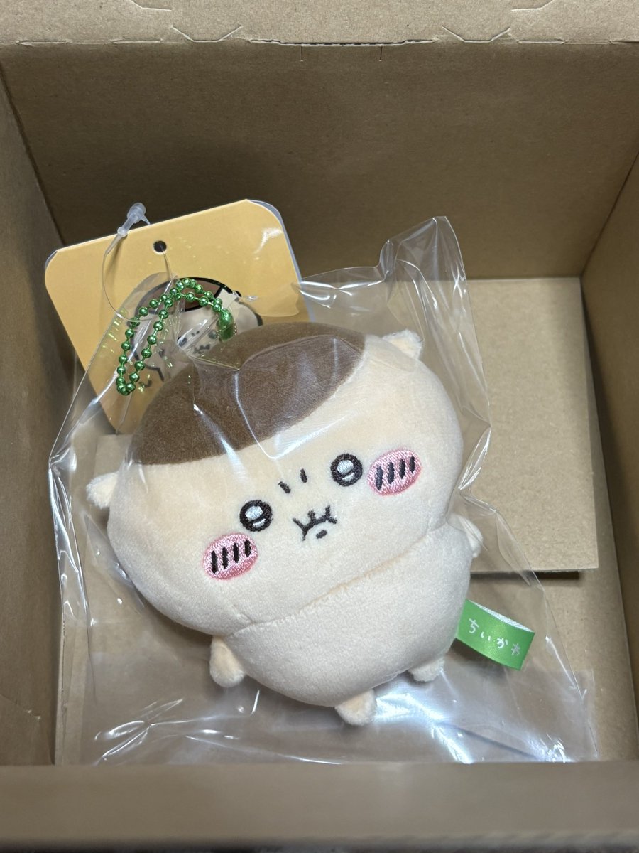 KuriMan10_'s tweet photo. ようこそ我が家へ https://t.co/ZJZOrT3MQH