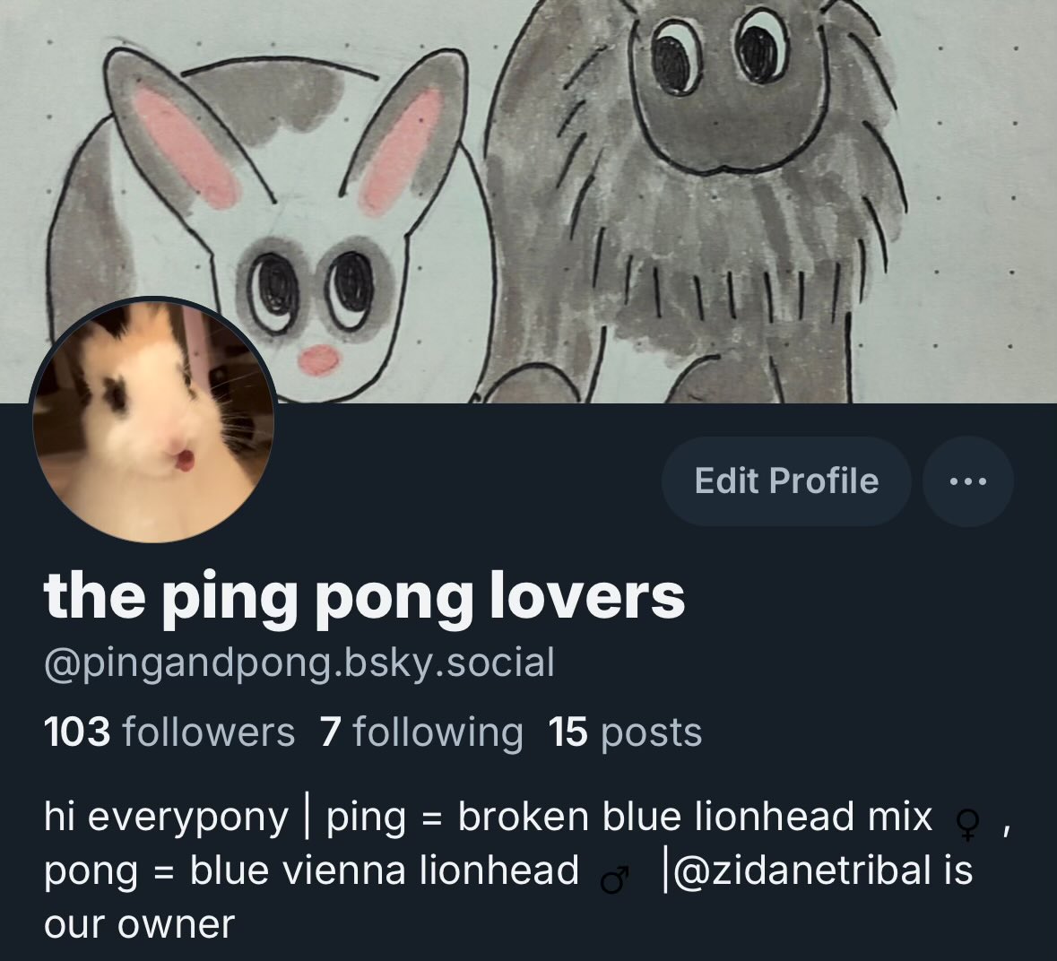 the ping pong lovers tweet media