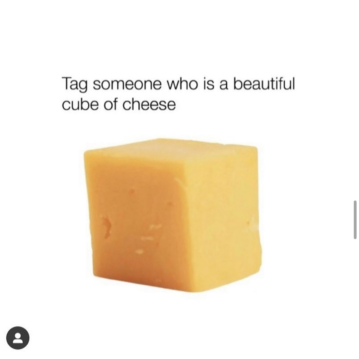 i like food tweet media