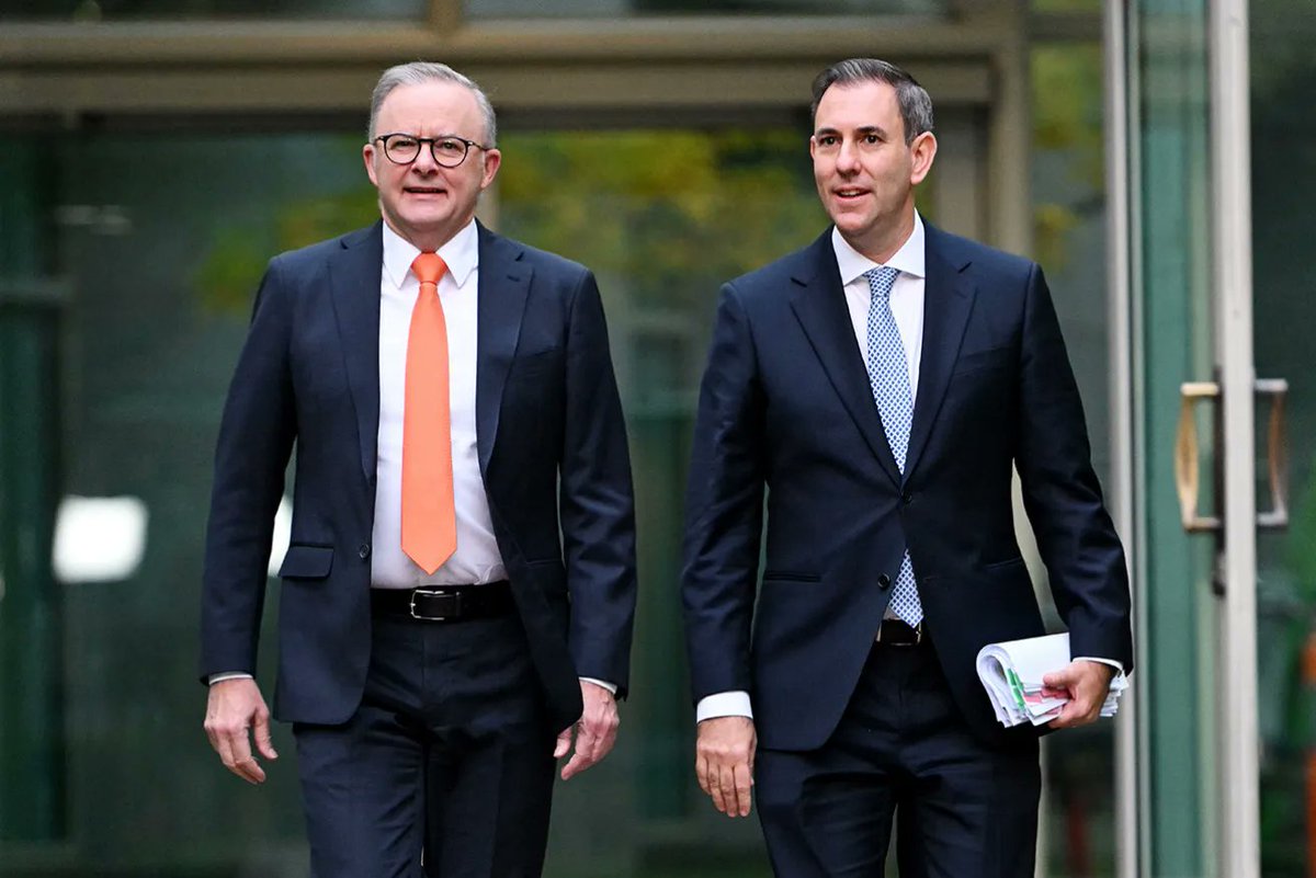 Adam Nicotera tweet media