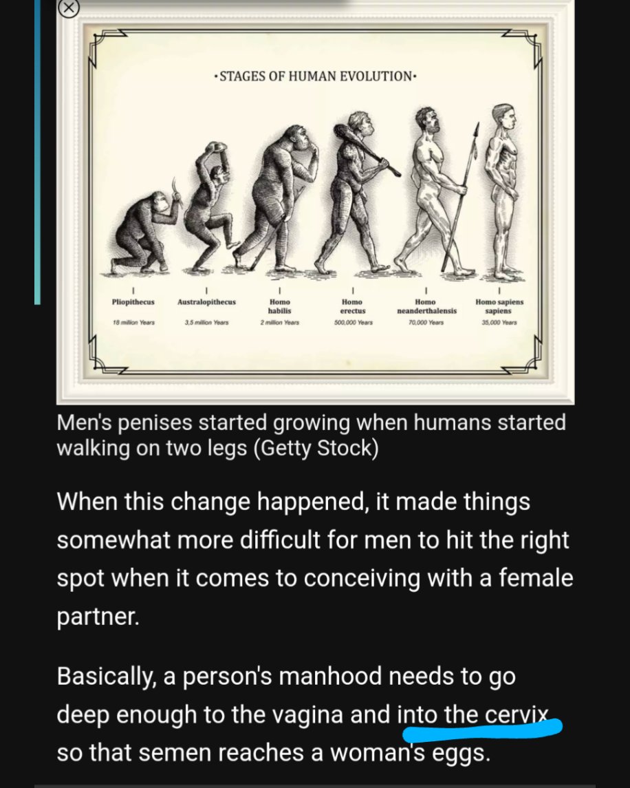 AskAubry 🦋 🐆🦝 tweet media