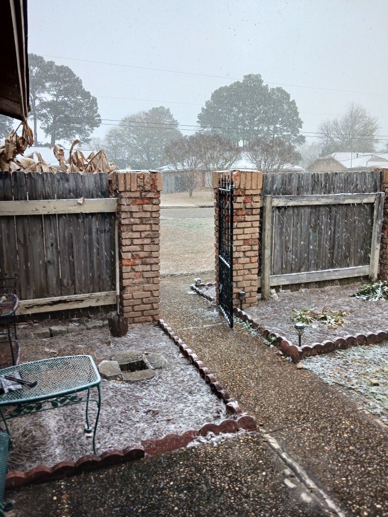 MizWaffles_'s tweet photo. At my house yesterday we got 1 inch of snow and I’m sad. I hope we get another shot of snow this year. https://t.co/12DjDHijSo
