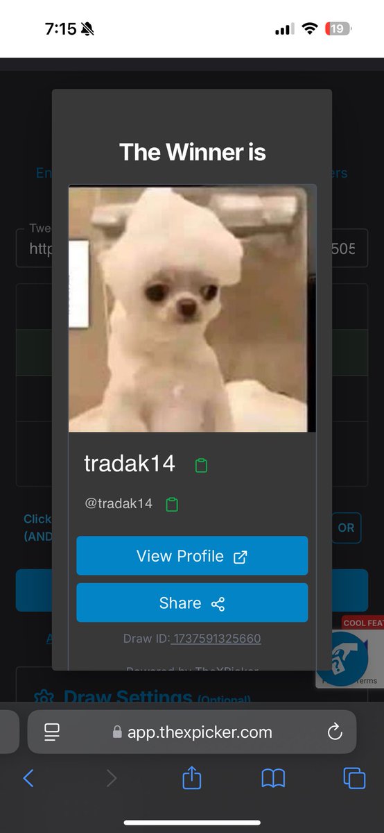 TheRaabi (@TheRaabi0) / Posts / X