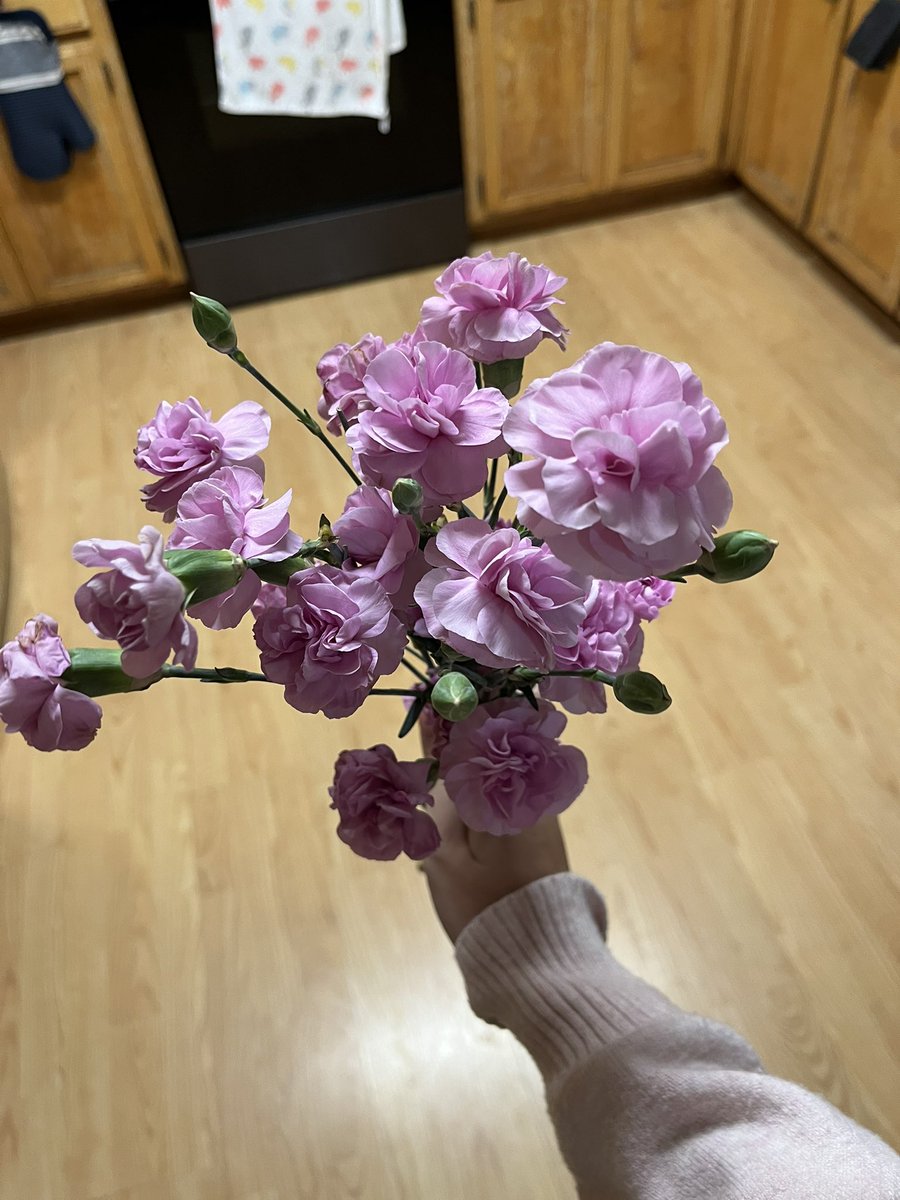 jasmercy's tweet photo. the little beautiful things in life https://t.co/6k3T7Ehiry