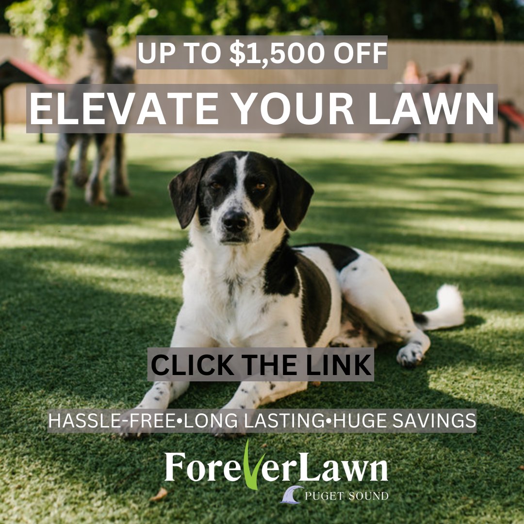 🐾 Your pet deserves the best! With up to $1,500 OFF, now’s the perfect time to upgrade to K9Grass® by ForeverLawn—low-maintenance, pet-friendly, and Cesar Millan approved! 🐶✨ Don’t wait, let your furry friends play in comfort and style. 💚 foreverlawnps.com/k9grass